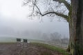 Foggy morning in Bern with a view of the meadow and silhouettes of trees