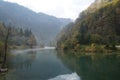 Foggy morning on the Bohinj lake Royalty Free Stock Photo