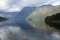 Foggy morning on the Bohinj lake Royalty Free Stock Photo