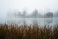 City lake in autumn season with foggy weather Royalty Free Stock Photo