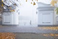 Foggy morning in a city. Young girl is walking with a dog in a park Royalty Free Stock Photo