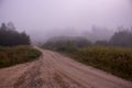 Foggy morning in countryside. Empty rural path in misty forest. Rustic autumn landscape. Royalty Free Stock Photo