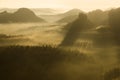 Foggy morning in a Czech republic. Golden rays on are shining at the forest. Nature background early morning