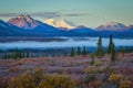 Foggy morning in Denali national park, Alaska Royalty Free Stock Photo
