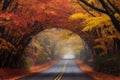 foggy morning drive through a tree tunnel in fall Royalty Free Stock Photo