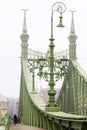 Foggy morning. Freedom Bridge in Budapest, Hungary