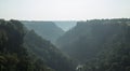 Foggy morning at Green Tincha Fall Valley near Indore-India Royalty Free Stock Photo