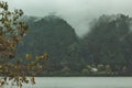 Foggy morning at Furnas Lake, Sao Miguel, Azores, Portugal