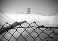 Foggy morning on the Golden Gate Royalty Free Stock Photo