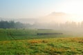 Foggy morning grassland landscape with trees and hills