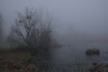 Foggy morning. Gray mystical landscape Royalty Free Stock Photo
