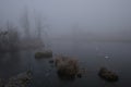 Foggy morning. Gray mystical landscape Royalty Free Stock Photo