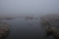 Foggy morning. Gray mystical landscape Royalty Free Stock Photo