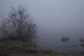 Foggy morning. Gray mystical landscape Royalty Free Stock Photo