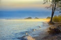 Foggy morning on lake Baikal. A lone tree on a rocky shore and birds. Russia