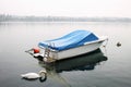 Foggy morning on Lake Garda, swan, boat, Peschiera del Garda, Italy Royalty Free Stock Photo