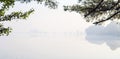 Foggy morning on the lake. Tree branches over the water Royalty Free Stock Photo