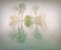 Foggy morning landscape in the autumn park