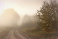 Foggy morning in Lithuania. Mysterious road