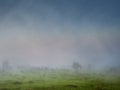 Foggy morning in the meadow. Soft focus.