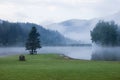 Foggy morning mountain lake Royalty Free Stock Photo
