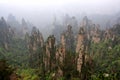 Foggy morning in the mountains