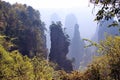 Foggy morning in the mountains