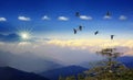 Foggy morning in the mountains with flying birds over silhouettes of hills Royalty Free Stock Photo