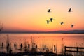 Foggy morning in the mountains with flying birds over silhouettes of hills Royalty Free Stock Photo