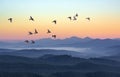 Foggy morning in the mountains with flying birds over silhouettes of hills. Serenity sunrise with soft sunlight and layers of haze