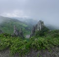 Foggy morning. Mountains landscape. Meadow are covered with morning fog. Natural scenery Royalty Free Stock Photo