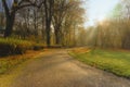 Foggy morning in the old autumnal park. Sunbeams falling on the colorful trees, path wih wooden benchs Royalty Free Stock Photo