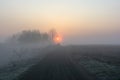 The foggy morning over the field Royalty Free Stock Photo