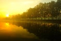 Foggy morning over the lake, fall trees reflected in water Royalty Free Stock Photo