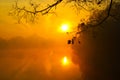 Foggy morning over the lake, fall trees reflected in water Royalty Free Stock Photo