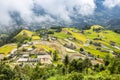 A foggy morning over ripen rice terraces Royalty Free Stock Photo