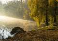 Foggy morning over the river