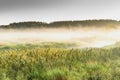 Foggy morning Royalty Free Stock Photo