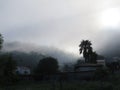 Foggy morning in portugal mountains