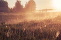 Foggy morning in rural field at sunrise. natural summer spring background