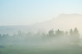 Foggy morning rural landscape