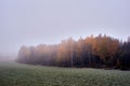 Foggy morning of rural Toten, Norway