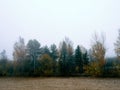 Foggy morning of the rural Toten, Norway.