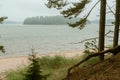 Foggy morning by the sea. Sandy coast, pine forest. the island is visible in the distance. The nature of Scandinavia. Finland. Por Royalty Free Stock Photo