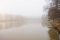 foggy morning on a small pond