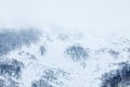 Foggy morning in the snow capped mountains, bare trees in winter Royalty Free Stock Photo