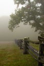 Foggy morning with split rail fence Royalty Free Stock Photo
