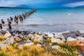 Foggy morning on the Strait of Magellan Royalty Free Stock Photo