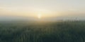 Foggy morning at sunrise in grassfields in autumn Royalty Free Stock Photo