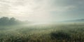 Foggy morning at sunrise in grassfields in autumn Royalty Free Stock Photo